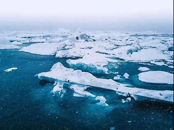 世界8大冷水潛水目的地