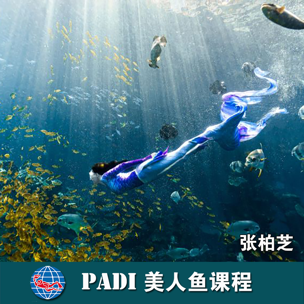 三亞洲際酒店P(guān)ADI 美人魚課程